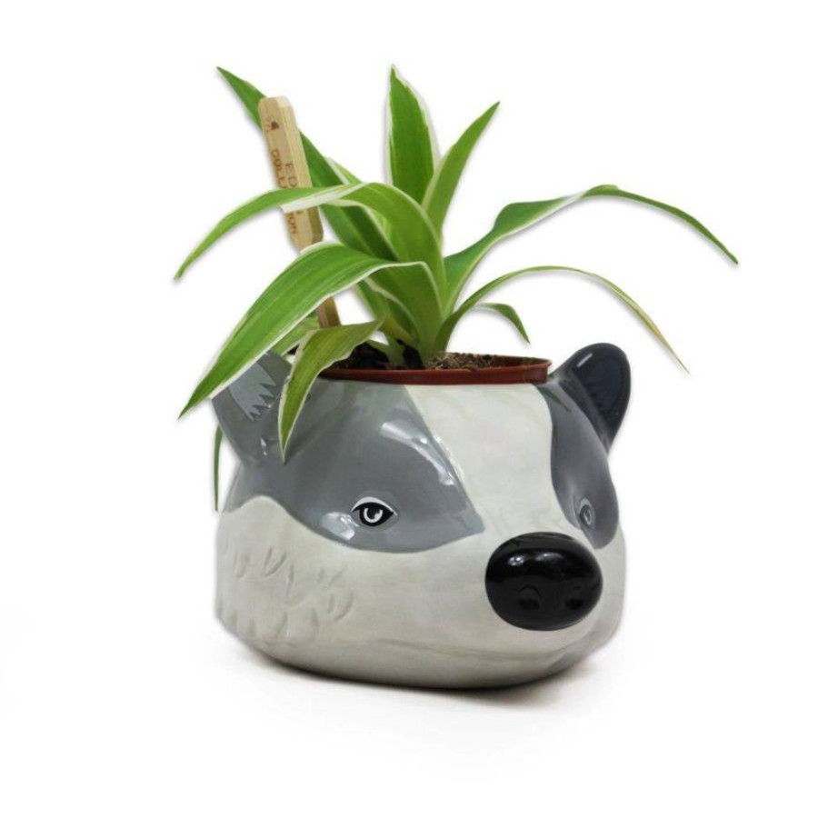 Popculture Half Moon Bay | Harry Potter - Hufflepuff Plant Pot